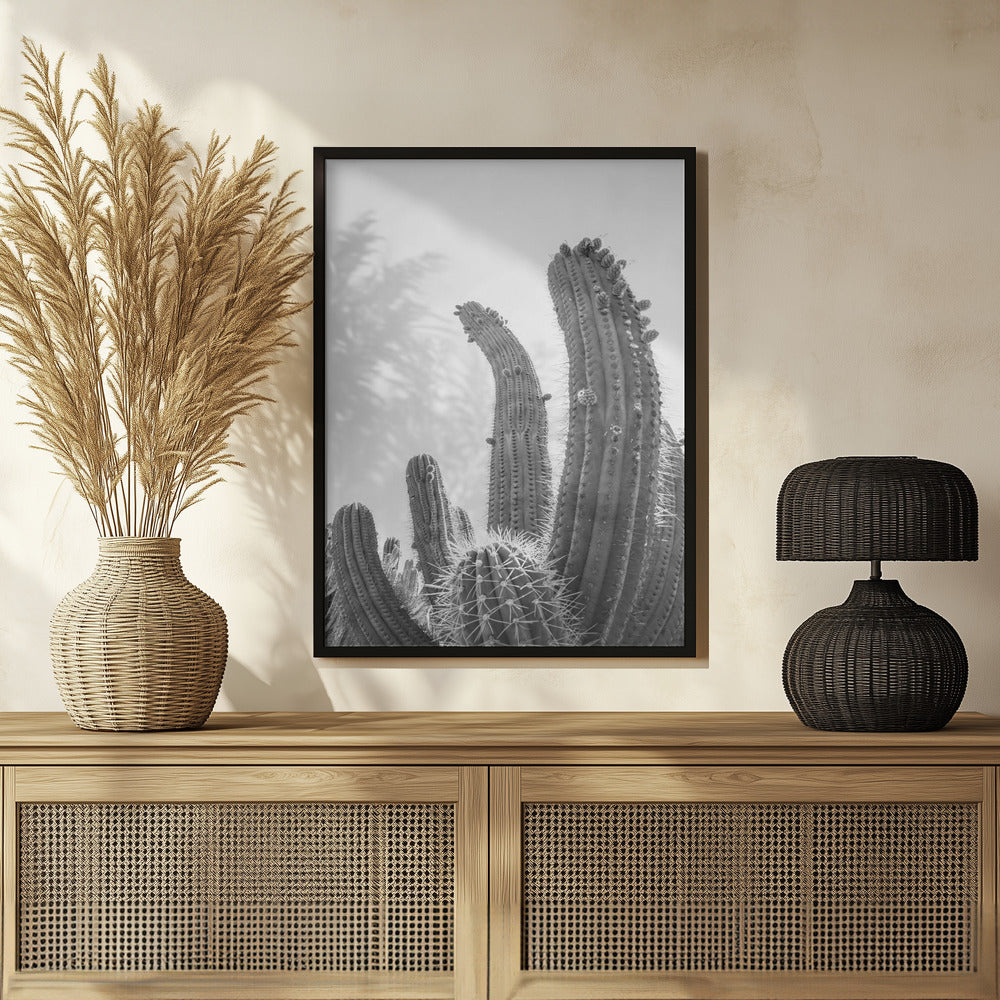 Cactus Poster